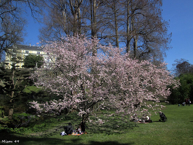 Parc oriental de Maulévrier en Maine et Loire