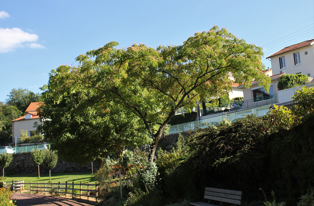 L'allée supérieure du parc