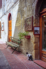 Bench and Cat - HBM- San Gimignano