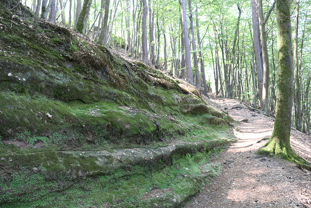 Jungfernsprung, Dahn, Germany