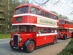 DSCF1342 Former Northampton C T 154 (ANH 154) at the Wellingborough Museum Bus Rally - 21 Apr 2018