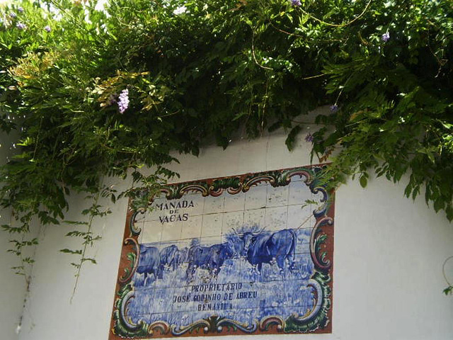 Tiles panel.