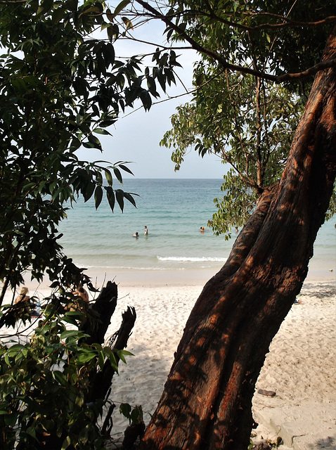 Baignade malaysienne / Malaysian beach