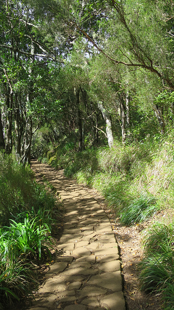 Levada dos Balcões