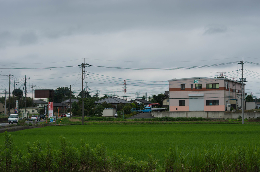 In the middle of rainy season