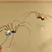 Glass spiders