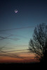 Mond und Venus