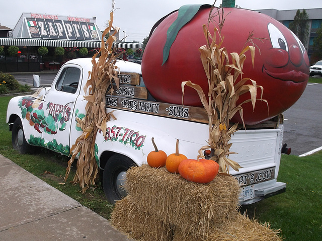 Zappi's pumpkins / Citrouilles Zappi