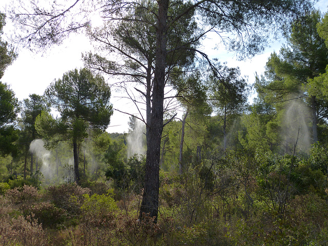 Parc des Calanques