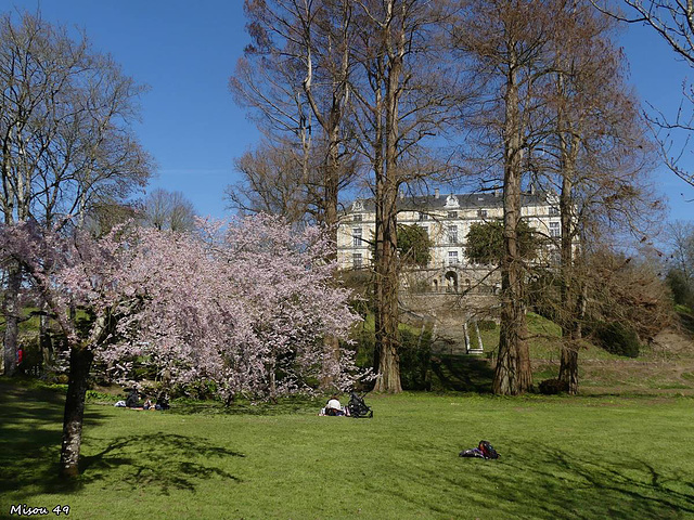 Parc oriental de Maulévrier en Maine et Loire