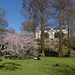 Parc oriental de Maulévrier en Maine et Loire