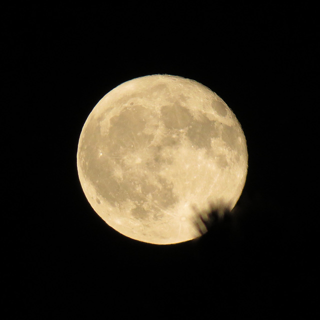 Rising moon 6 September 2017