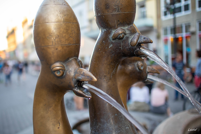 Fountain birds ++ Brunnenvögel