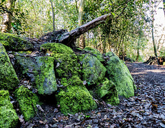 Stone wall..complete with lichen