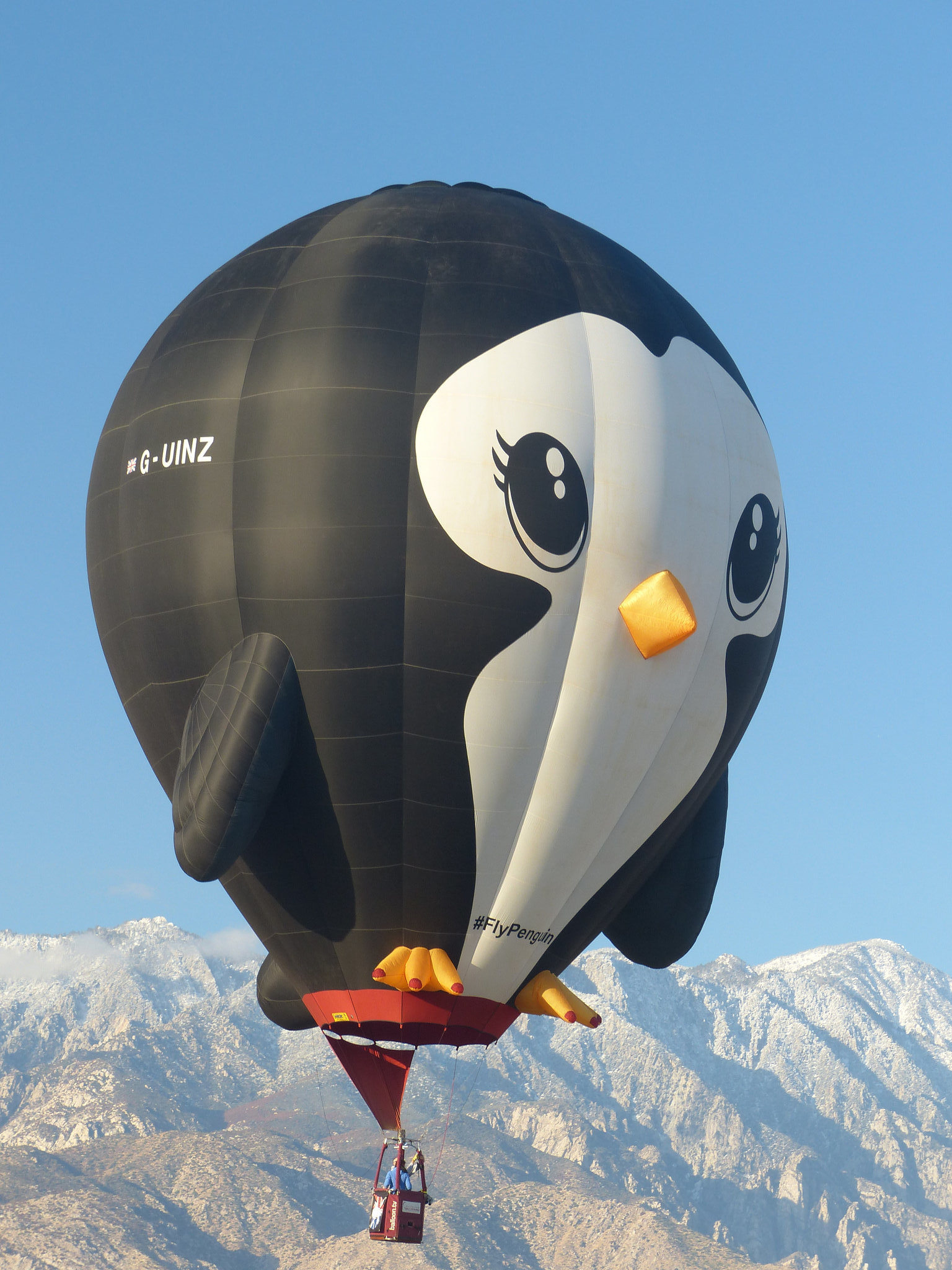 Cathedral City Balloon Festival (70) - 22 November 2019