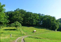 DE - Andernach - Auf dem Höhlen- und Schluchtensteig