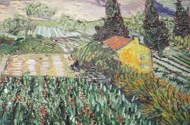 Detail of Field with Poppies by Van Gogh in the Metropolitan Museum of Art, July 2023