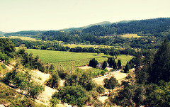 View from Sterling Vineyards