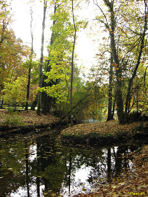 parc du chateau de CHANGE Mayenne