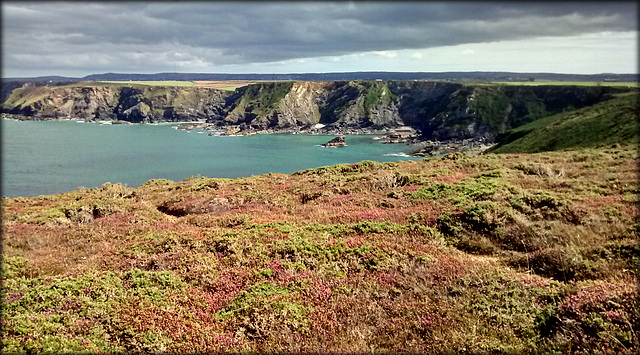 North cliffs from Navrax Point.