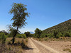 East Hunter Canyon Road