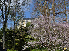 Parc oriental de Maulévrier en Maine et Loire