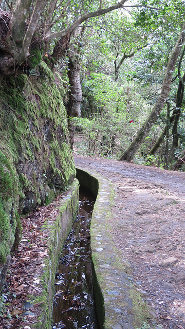 Levada dos Balcões