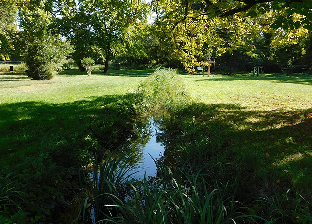 Le ruisseau du parc du Bosquet************