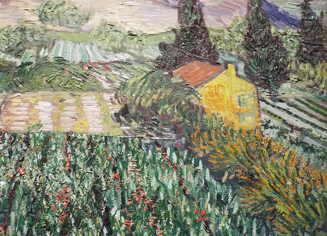 Detail of Field with Poppies by Van Gogh in the Metropolitan Museum of Art, July 2023