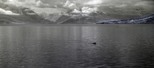 Lofoten - Hinnoya