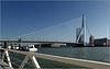 Rotterdam Erasmus Bridge: The Swan...