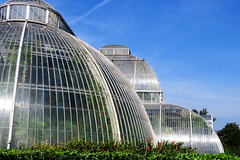 kew gardens, london