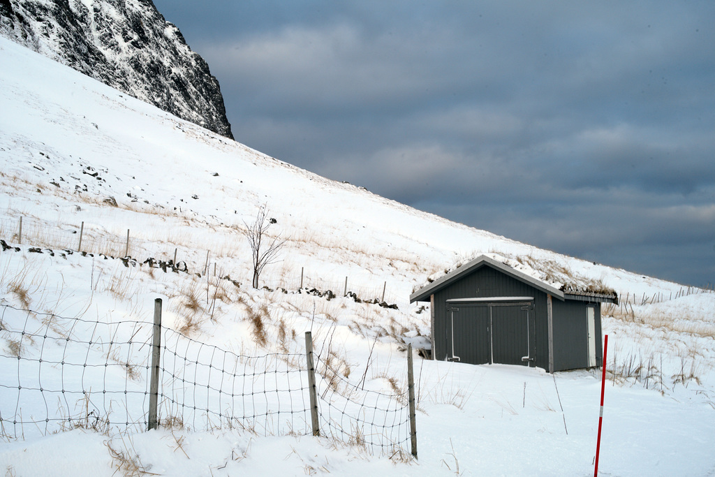 Lofoten, Norway, HFF L1008173