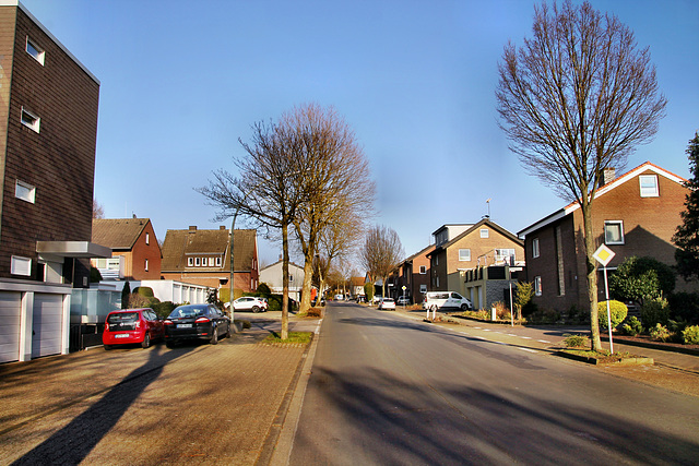 Buddenbergstraße (Selm-Beifang) / 5.03.2022