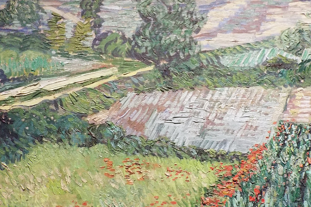 Detail of Field with Poppies by Van Gogh in the Metropolitan Museum of Art, July 2023