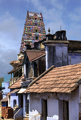 Sedapatti, India