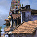 Sedapatti, India