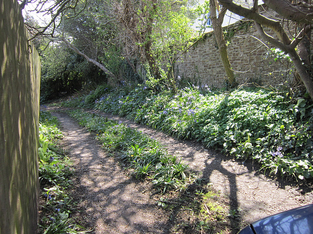 The middle part of the drive is full of flowers