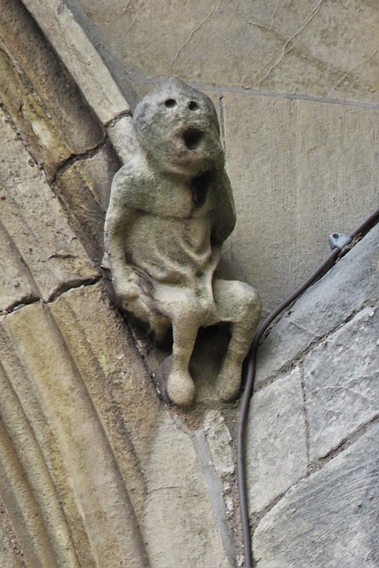 beverley minster, yorks