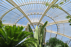 kew gardens, london