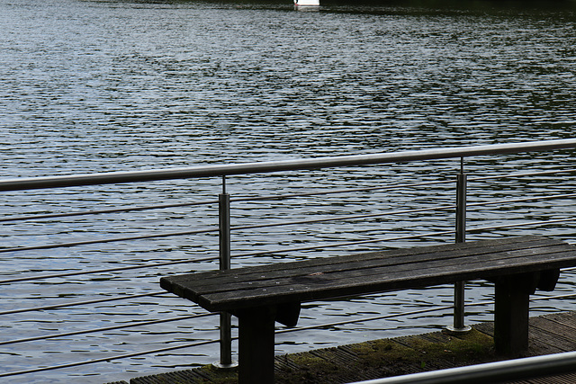 Happy Watery Fence Friday !