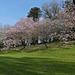 Parc oriental de Maulévrier en Maine et Loire