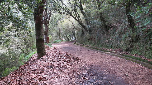 Levada dos Balcões