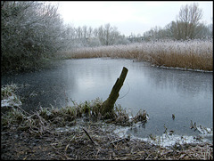 Trap Grounds in winter