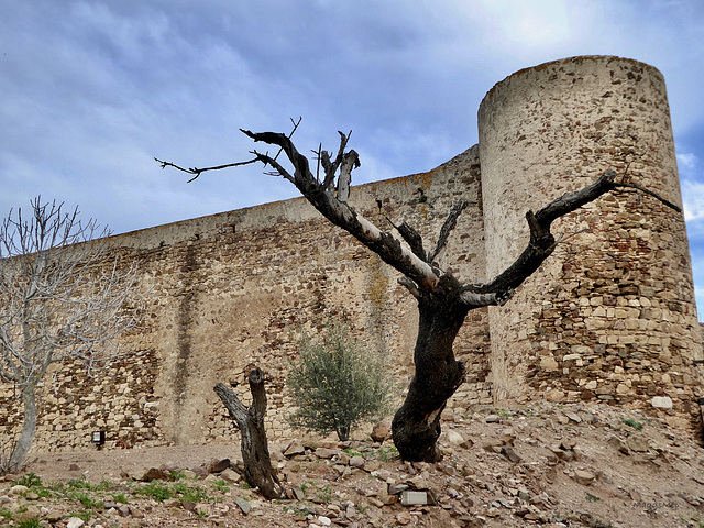 Medieval Castle walls