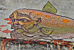the fish god on the wall (Huzhir/Siberia)