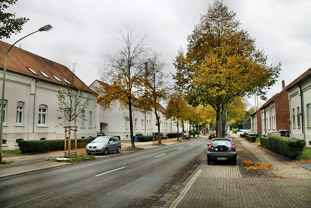 Arenbergstraße (Siedlung Mathias Stinnes, Essen-Karnap) / 20.10.2021