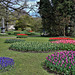 Morges VD / Tulpengarten, noch nicht in Vollblüte