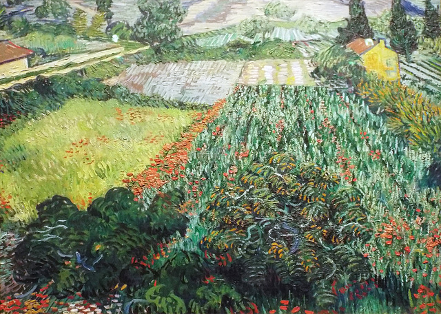 Detail of Field with Poppies by Van Gogh in the Metropolitan Museum of Art, July 2023