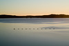 Shetland